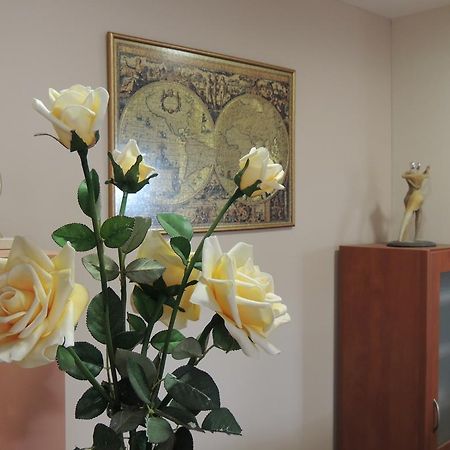 لوترا إديبسو Miami Studios المظهر الخارجي الصورة
